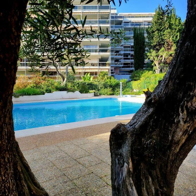 Grand Studio Localisation Ideale Antibes Exterior photo